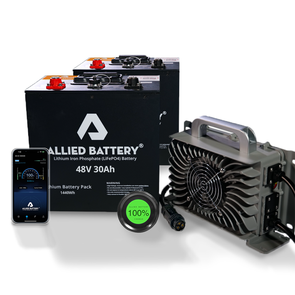 Best 48 volt golf cart battery charger deals