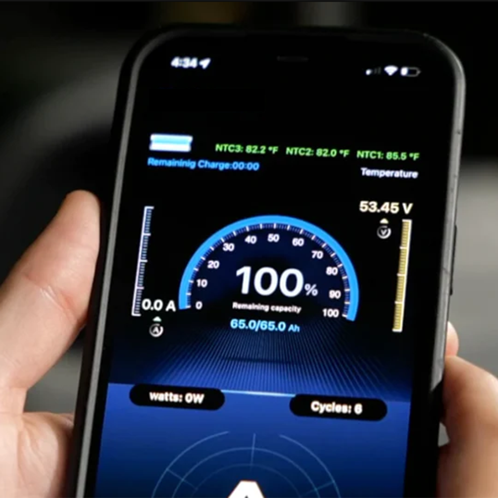 Allied 48V "Drop-In" Lithium Golf Cart Battery Easy Conversion Kit (Charger Included) Allied Batteries